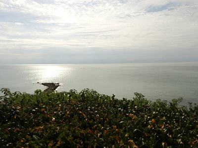 绿色灌木丛后面的海景