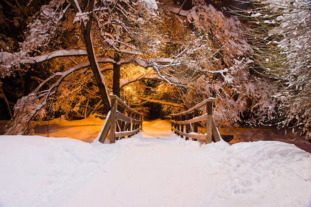 雪下的树木和冬季傍晚的木桥图片