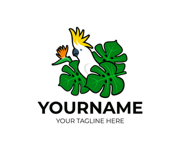 动物,热带野生动物,自然乐园和旅游矢量设计及说明照片