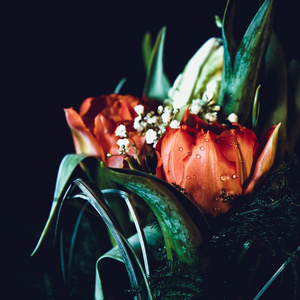 美丽的花朵郁金香节日花和室内装饰