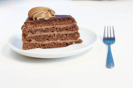 一块美味的巧克力蛋糕，配上巧克力奶油装饰在白色盘子上，配上甜点叉子