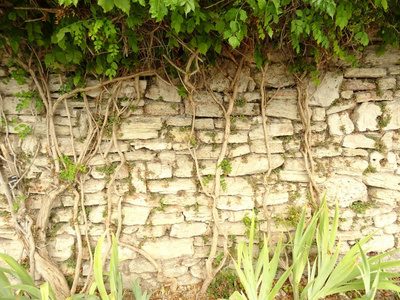 花园里的石墙