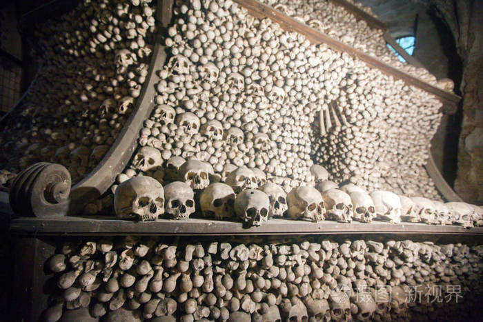 塞德利克osuary的海鸥和骨头堆