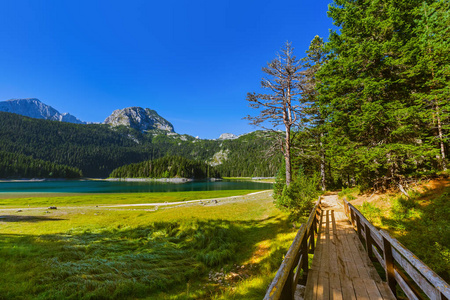 黑湖CrnoJezero在黑山杜米特尔自然旅游背景下