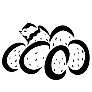 在巢里产卵的新生鳄鱼.小鳄鱼从卵中孵化出来.