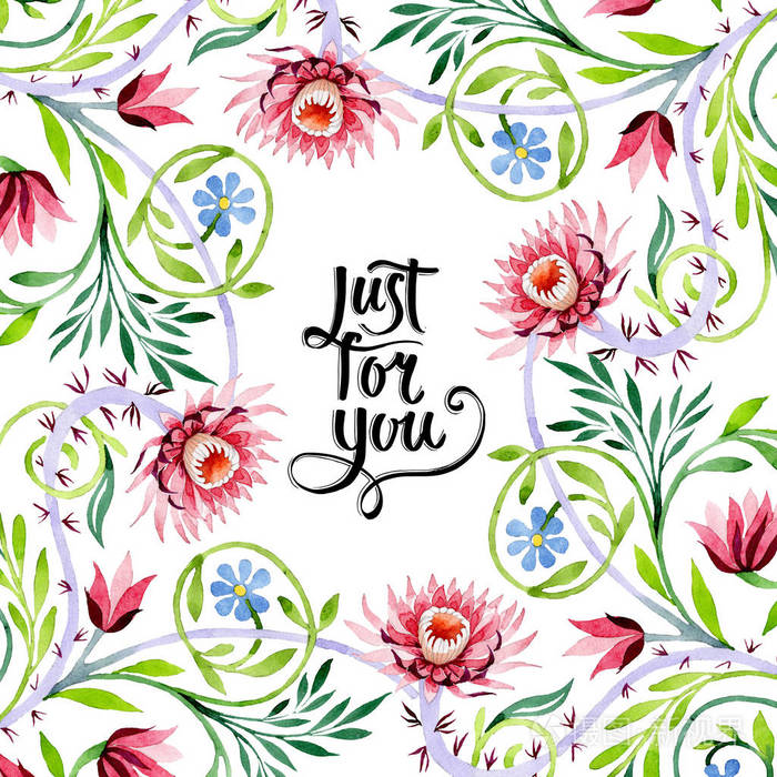 粉红色莲花装饰花卉植物花水彩背景插图集框架边框装饰正方形