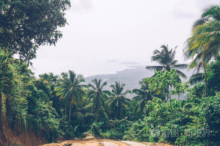 丛林里的土路. 泰国东南亚. 热带雨林. 香蕉棕榈树. 景观景观.