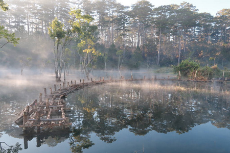 被淹没的树木在湖面上反射着神奇的光雾，人们在日出时活跃着