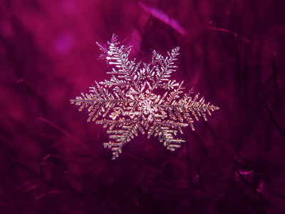 雪花在五颜六色的背景上美丽