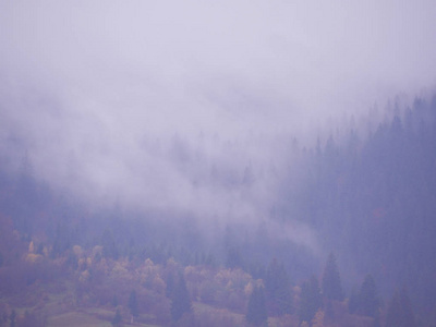 雾中的卡拉帕坦山脉