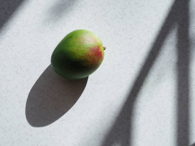 多色芒果水果的背景单色阴影。图片