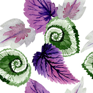 海棠绿叶和紫色叶子。水彩背景插图集。无缝的背景模式
