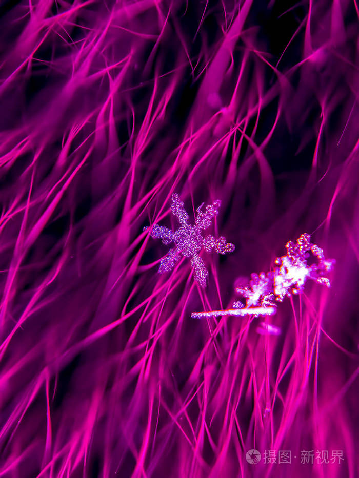 雪花在五颜六色的背景上美丽