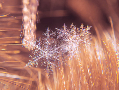 雪花在五颜六色的背景上美丽