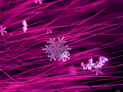 雪花在五颜六色的背景上美丽