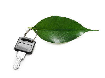 钥匙从汽车和绿叶白色背景。生态概念