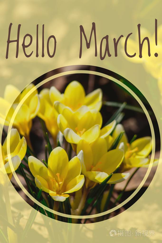 贺卡你好，三月欢迎卡，春天开始。 向春天的问候。