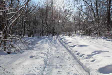 冬天森林里的雪路通往森林的道路的照片。季节是冬天。 寒冷，霜冻，阳光明媚。美丽的自然景观。白雪中的树木。国家俄罗斯。