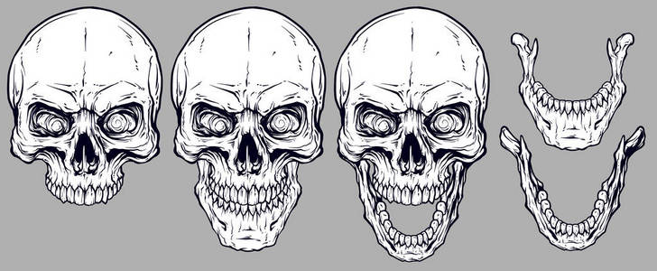 详细的图形，现实，凉爽的白色人类头骨和下颚。 在灰色背景上。 矢量图标集。