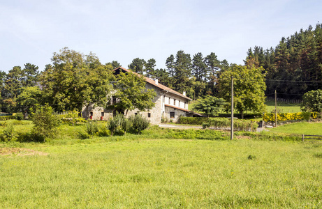 在阳光明媚的日子里，西班牙巴斯克国家农村村庄的草地。