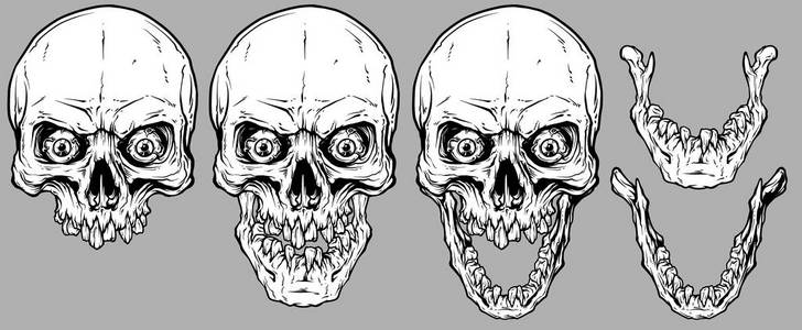 详细的图形，现实，凉爽的白色人类头骨与破碎的牙齿，疯狂的眼睛和下颚。 在灰色背景上。 矢量图标集。
