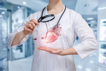 一位医生站着看着心脏模型，她的手上挂着医疗计划系统，通过百叶窗。 内脏治疗创新方法的概念。