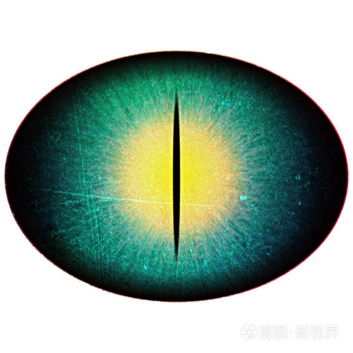 动物眼睛绿色眼球内部有形状