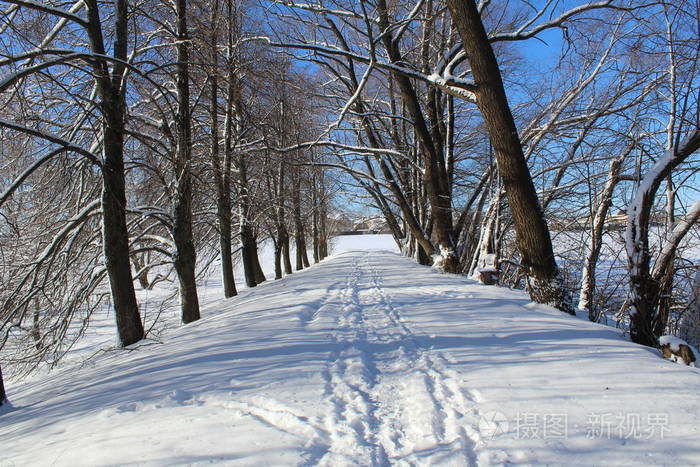 冬天森林里的雪路/通往森林的道路的照片.季节是冬天.