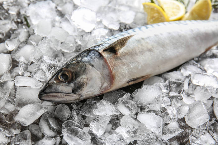 美味的生鲭鱼在冰上