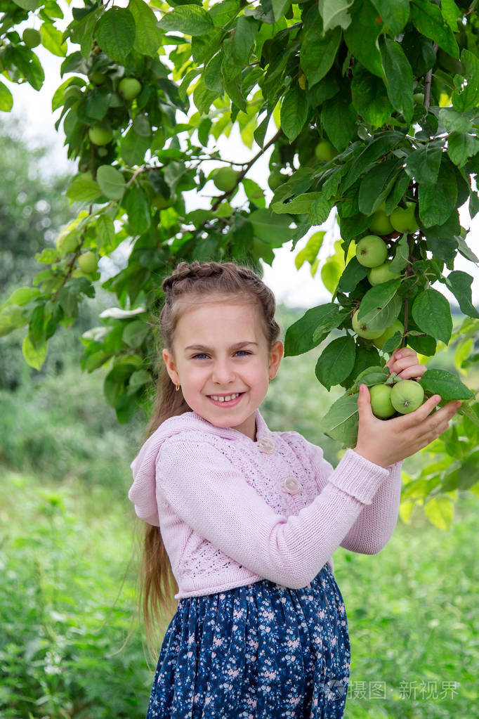 夏天阳光明媚的一天,可爱的小女孩在苹果树的树枝上.