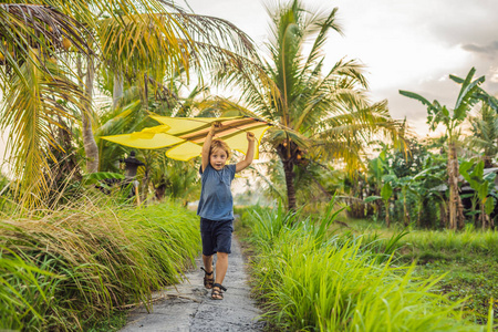 男孩在印度尼西亚乌布巴利岛的稻田里放风筝。