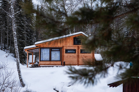 森林中的冬季度假屋