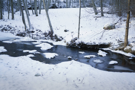 森林河在冬天，雪和河岸上的树木在冰中结冰，冬天的清晨在森林里。