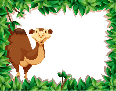 自然框架插图上的骆驼