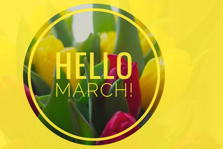 向春天的问候.相似素材图片