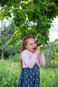 夏天阳光明媚的一天，可爱的小女孩在苹果树的树枝上。 在花园里收获苹果。