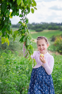 夏天阳光明媚的一天，可爱的小女孩在苹果树的树枝上。 在花园里收获苹果。