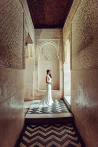 阿尔罕布拉古宫的美丽新娘