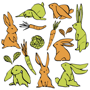 收集一些可爱的兔子, 手绘插图。可爱兔的插画布景人物设计