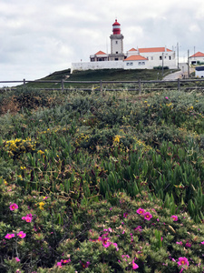 明亮美丽的春天花在葡萄牙罗卡角欧亚大陆最西端。著名的风景如画的卡波达罗卡灯塔。