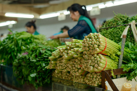 中国芹菜束图片