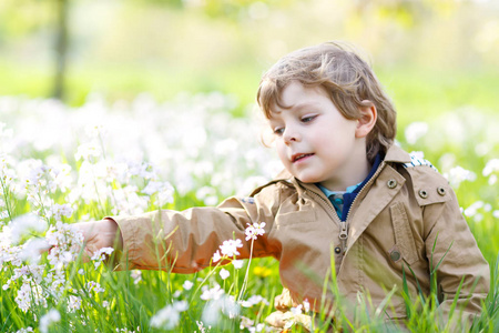 在春日, 小男孩在盛开的苹果花园果园里开花。快乐的孩子在温暖的阳光明媚的日子里微笑。家庭, 假期, 春天概念