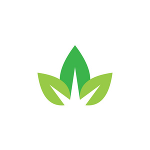 绿色生态矢量标识.照片