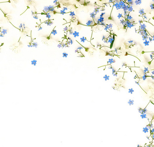白色背景下美丽的嫩花的俯视图