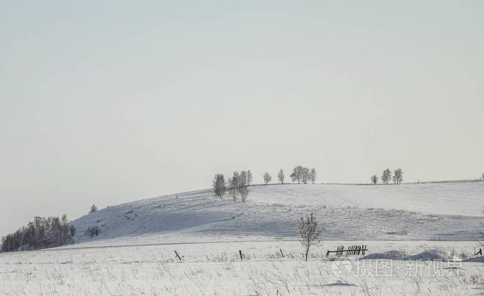 美丽的冬季山景，背景是晴朗的蓝天树木，并在阿尔泰地区的道路上离去