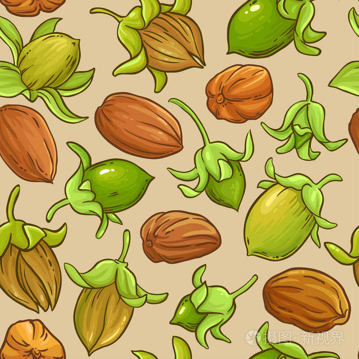 霍霍巴矢量图案的颜色背景插画-正版商用图片192hif-摄图新视界