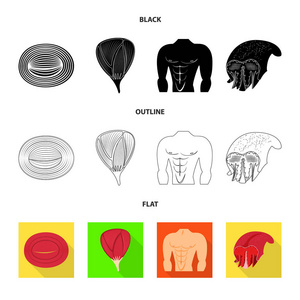 纤维和肌肉标志的矢量插图。纤维和身体股票向量的汇集例证