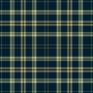 织物格子苏格兰格子布图案为背景. 传统的.照片