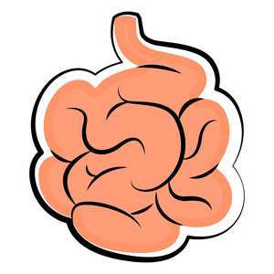 小肠的隐喻功能使酶消化蛋白质脂肪和碳水化合物矢量插图素描手绘黑色