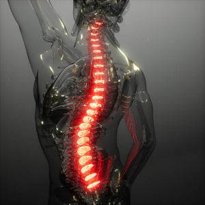 脊椎背痛脊梁骨上的背痛. 人体脊椎骨发光的科学解剖扫描照片